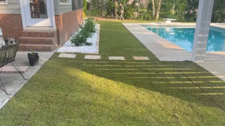 Should You Install Your New Lawn Using Seed Or Sod?