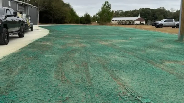 What You Need To Know About Hydroseeding